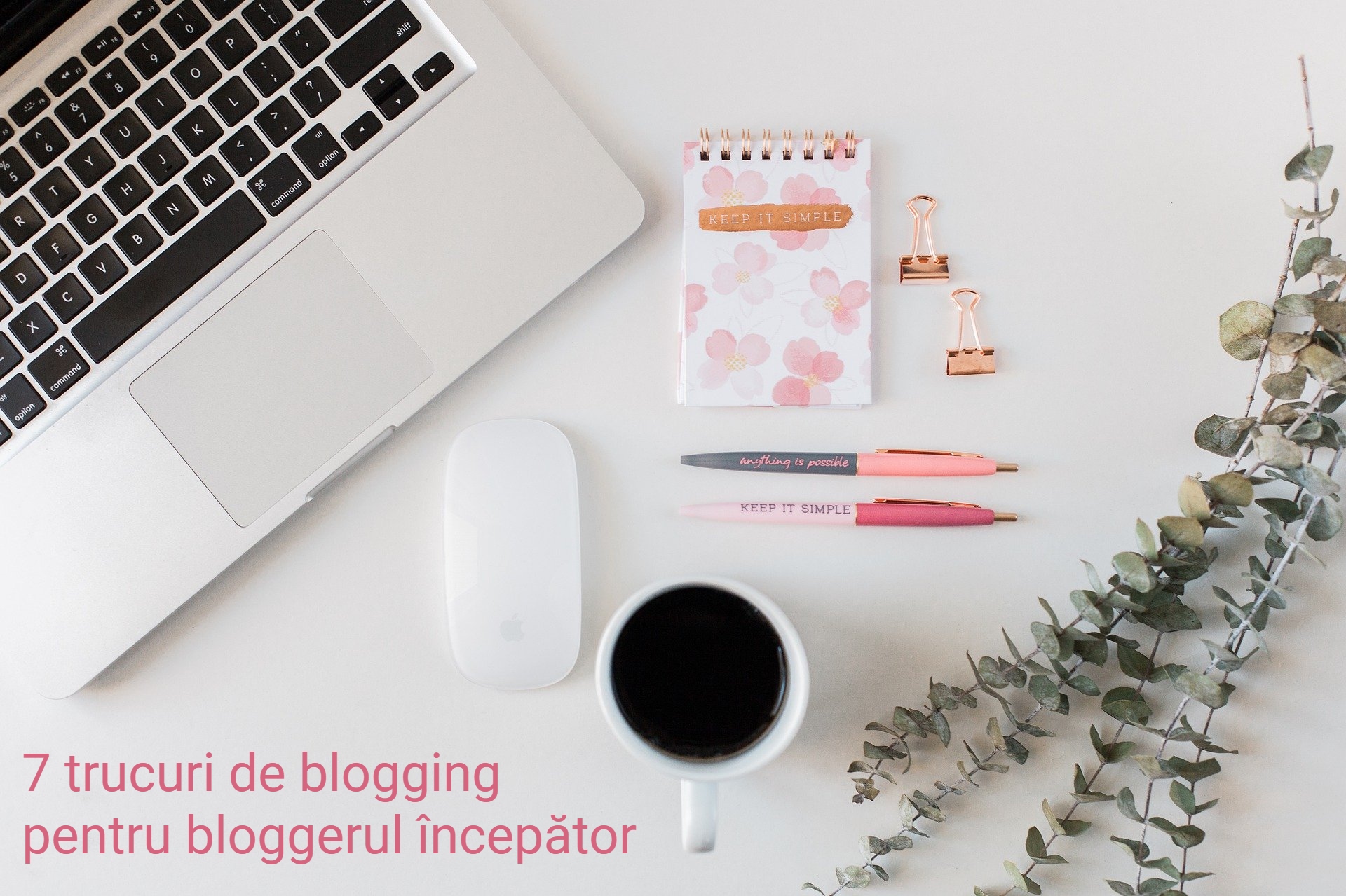 7 trucuri de blogging pentru bloggerul începător
